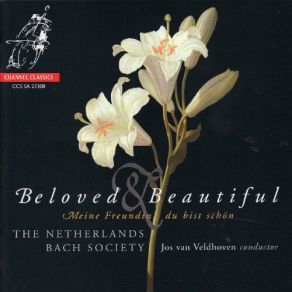 Beloved & Beautiful - The Netherlands Bach Society Performs Böhm, J. C. Bach, Schütz, & J. S. Bach album cover