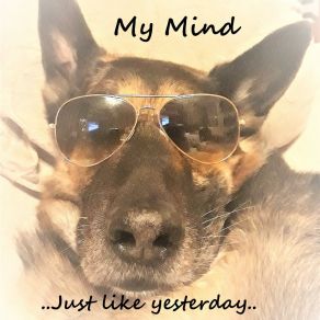 .. Just Like Yesterday.. album cover