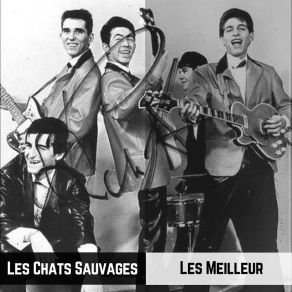 Les Meilleur album cover