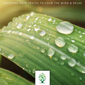 Soothing Rain Tracks To Calm The Mind & Relax album cover
