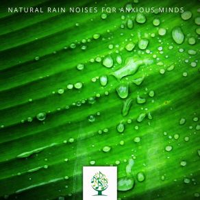 Natural Rain Noises For Anxious Minds album cover