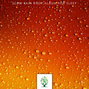 Slow Rain Drop Album For Sle album cover