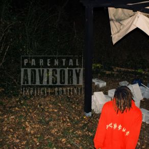 Mixed Emotions album cover