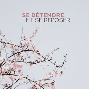 Se Détendre Et Se Reposer – Musique De Relaxation Jazz 2019 album cover