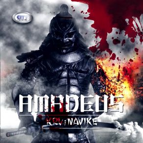KRV I Navike album cover