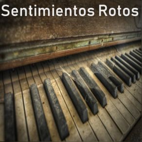 Sentimientos Rotos (Instrumental) album cover