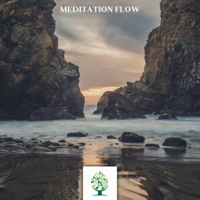 Meditation Flow album cover