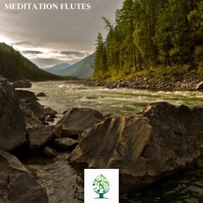 Meditation Flutes album cover