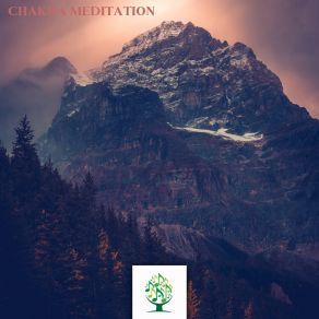 Chakra Meditation album cover