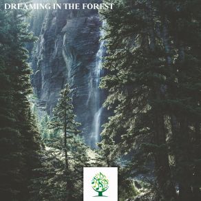 Dreaming In The Forest album cover