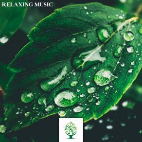 Relaxing Music album cover