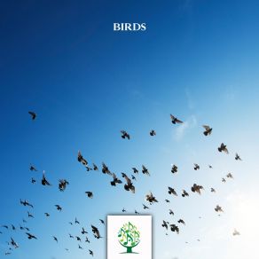 Birds album cover