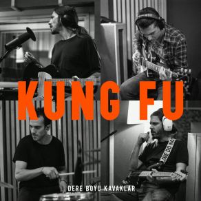 Dere Boyu Kavaklar album cover