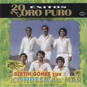 20 Éxitos De Oro Puro album cover