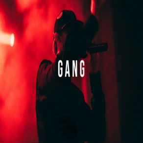 GANG album cover