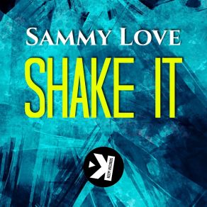 Shake It album cover