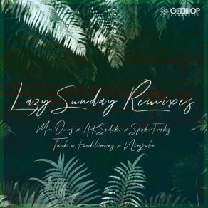 Lazy Sunday Remixes album cover