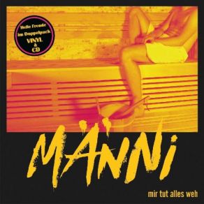 Mir Tut Alles Weh album cover