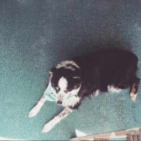 Bubs album cover
