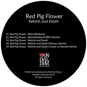 Rebirth And Death album cover