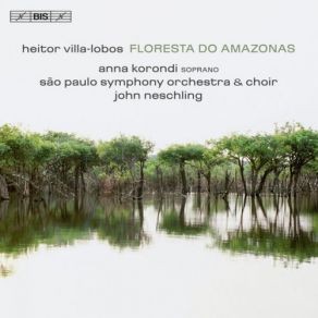 Villa-Lobos: Floresta Do Amazonas album cover