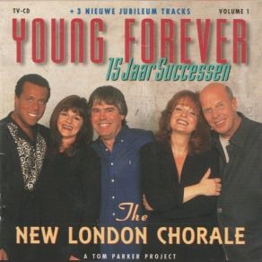 Young Forever 15 Jaar Successen album cover