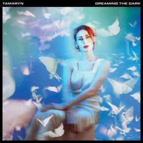 Dreaming The Dark album cover