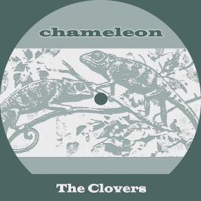 Chameleon album cover