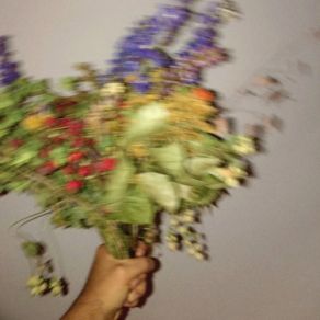 Forevigt album cover