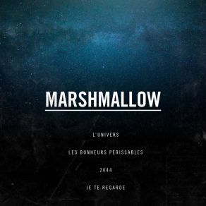 EP L'univers album cover