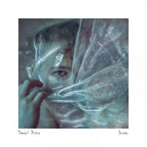 Dust album cover