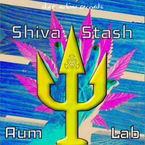 Shiva Stash album cover