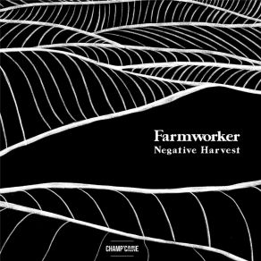 Negative Harvest album cover
