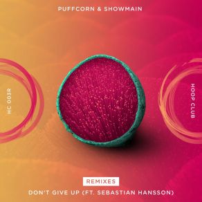Don't Give Up (Ft. Sebastian Hansson) (Remixes) album cover