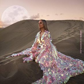 AMWIN In Wonderland album cover