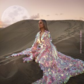 AMWIN In Wonderland album cover