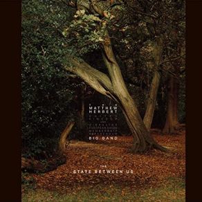 The State Between Us album cover