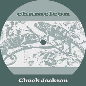 Chameleon album cover