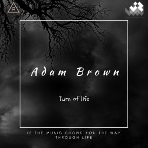 Turn Of Life album cover