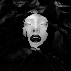 Miedo album cover