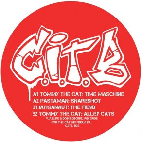 For The Cat His Fiddle album cover