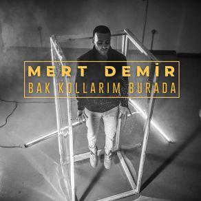 Bak Kollarım Burada album cover