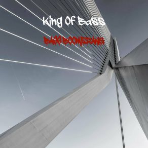 Bass Boomerang album cover