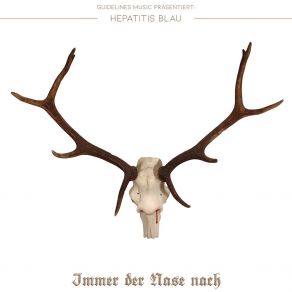 Immer Der Nase Nach album cover