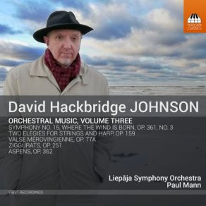 David Hackbridge Johnson: Orchestral Music, Vol. 3 album cover