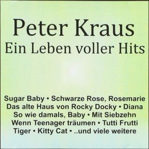 Ein Leben Voller Hits album cover
