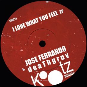 I Love What You Feel album cover