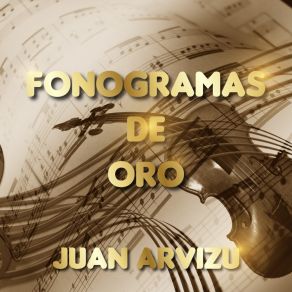 Fonogramas De Oro Juan Arvizu album cover