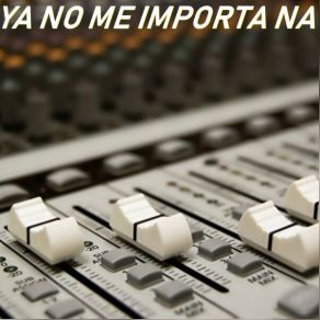 YA NO ME IMPORTA NA (Instrumental) album cover