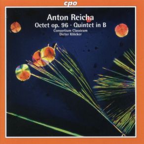 Reicha: Octet, Op. 96 And Variations For Bassoon & String Quartet album cover